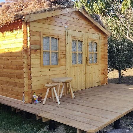Suhaia Edelweiss Guesthouse, Glamping And Camping المظهر الخارجي الصورة