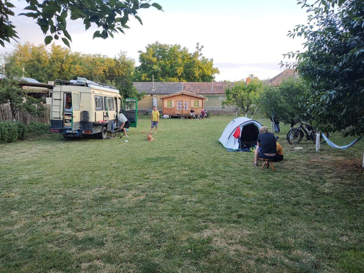 Suhaia Edelweiss Guesthouse, Glamping And Camping المظهر الخارجي الصورة